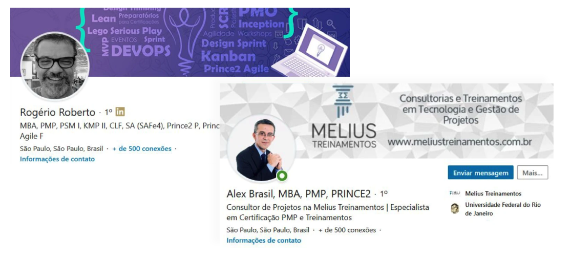 Perfis profissionais dos dois gerentes de projeto entrevistados na pesquisa